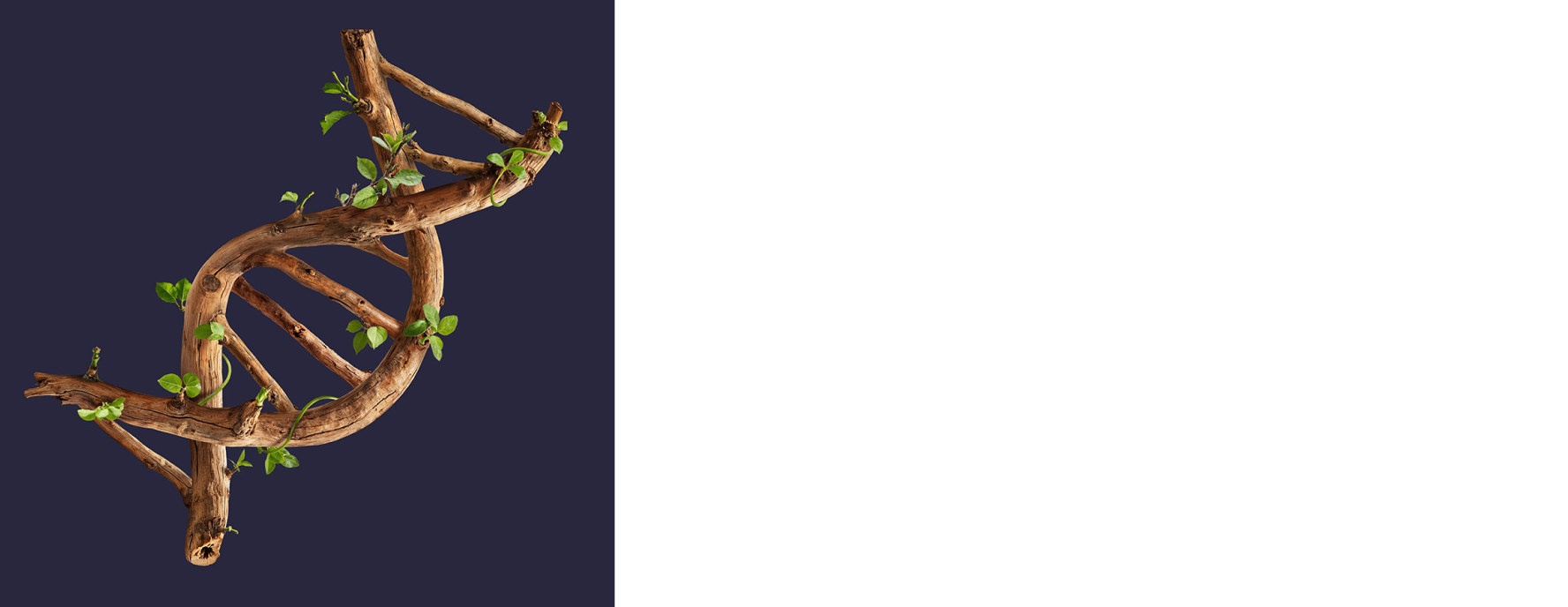 Family Business Sustainability Summit 2025 - 1ª edizione, 21-22 gennaio 2025, Palazzo di Varignana
