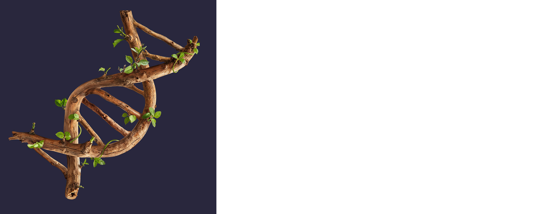 Family Business Sustainability Summit 2026 - 2ª edizione, 17 e 18 novembre 2026, Milano